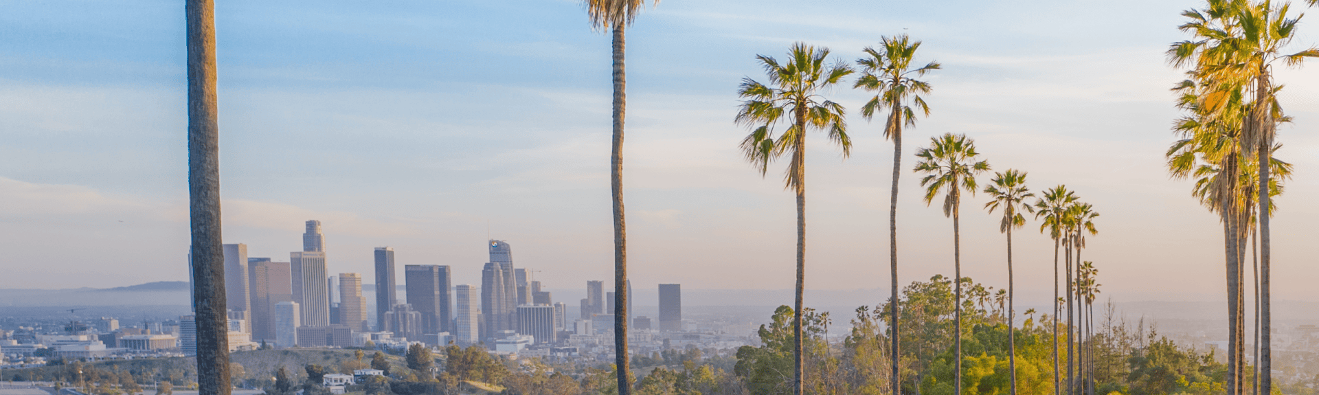 Los Angeles city